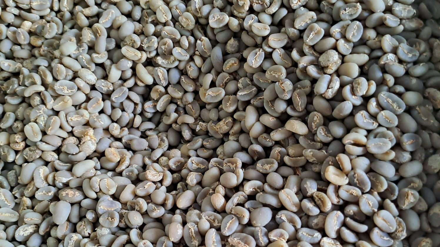 WhatsApp Image 2025-05-28 at 20.26.27